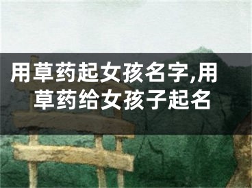 用草药起女孩名字,用草药给女孩子起名