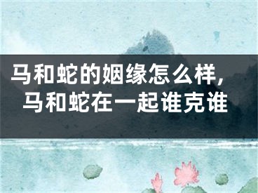 马和蛇的姻缘怎么样,马和蛇在一起谁克谁