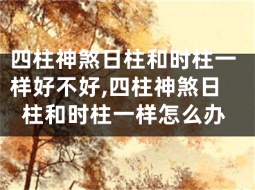 四柱神煞日柱和时柱一样好不好,四柱神煞日柱和时柱一样怎么办