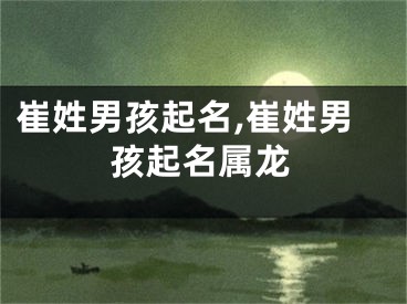 崔姓男孩起名,崔姓男孩起名属龙