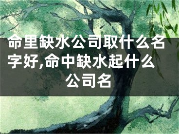 命里缺水公司取什么名字好,命中缺水起什么公司名