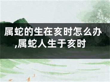 属蛇的生在亥时怎么办,属蛇人生于亥时