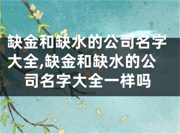 缺金和缺水的公司名字大全,缺金和缺水的公司名字大全一样吗