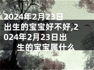 2024年2月23日出生的宝宝好不好,2024年2月23日出生的宝宝属什么
