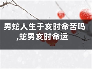 男蛇人生于亥时命苦吗,蛇男亥时命运