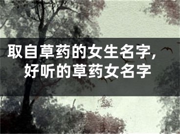 取自草药的女生名字,好听的草药女名字
