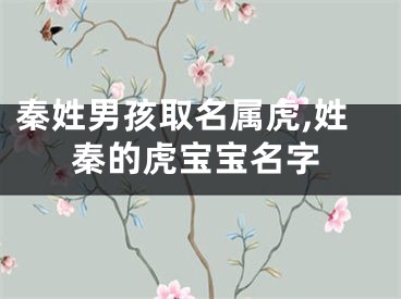 秦姓男孩取名属虎,姓秦的虎宝宝名字