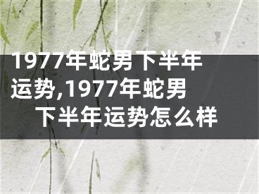 1977年蛇男下半年运势,1977年蛇男下半年运势怎么样