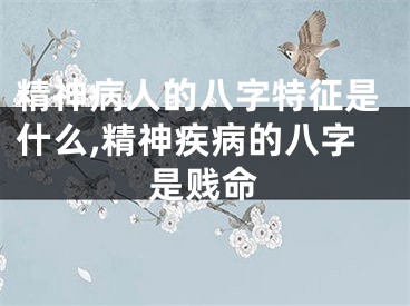 精神病人的八字特征是什么,精神疾病的八字是贱命