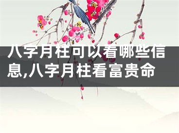 八字月柱可以看哪些信息,八字月柱看富贵命