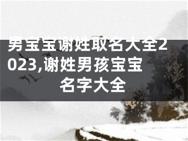 男宝宝谢姓取名大全2023,谢姓男孩宝宝名字大全