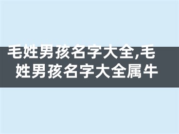 毛姓男孩名字大全,毛姓男孩名字大全属牛