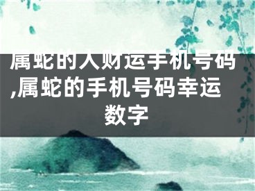 属蛇的人财运手机号码,属蛇的手机号码幸运数字