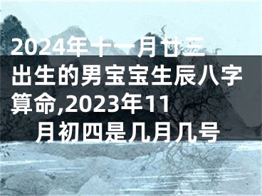 2024年十一月廿三出生的男宝宝生辰八字算命,2023年11月初四是几月几号