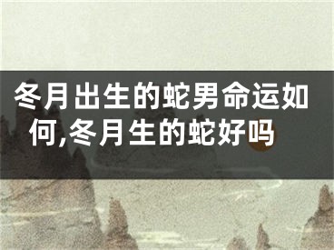 冬月出生的蛇男命运如何,冬月生的蛇好吗