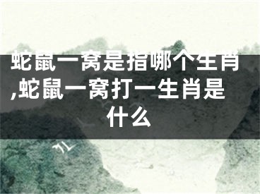 蛇鼠一窝是指哪个生肖,蛇鼠一窝打一生肖是什么