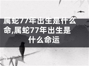 属蛇77年出生是什么命,属蛇77年出生是什么命运