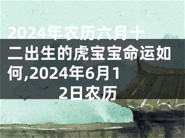 2024年农历六月十二出生的虎宝宝命运如何,2024年6月12日农历