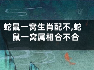 蛇鼠一窝生肖配不,蛇鼠一窝属相合不合