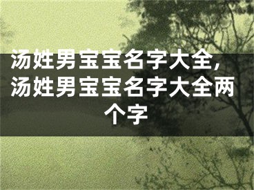 汤姓男宝宝名字大全,汤姓男宝宝名字大全两个字