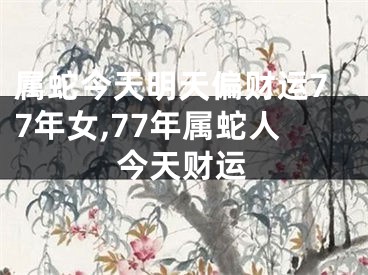 属蛇今天明天偏财运77年女,77年属蛇人今天财运