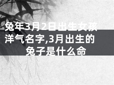 兔年3月2日出生女孩洋气名字,3月出生的兔子是什么命