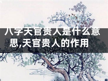 八字天官贵人是什么意思,天官贵人的作用