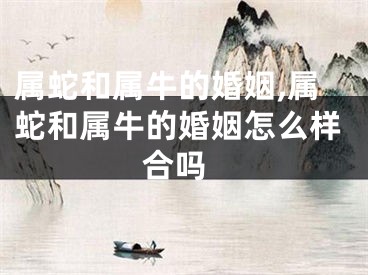 属蛇和属牛的婚姻,属蛇和属牛的婚姻怎么样 合吗