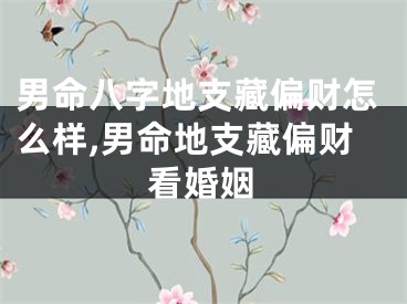 男命八字地支藏偏财怎么样,男命地支藏偏财看婚姻