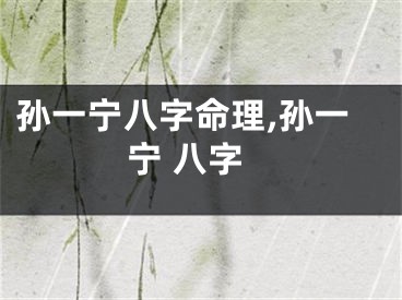 孙一宁八字命理,孙一宁 八字