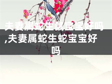 夫妻属蛇生鼠宝宝好吗,夫妻属蛇生蛇宝宝好吗