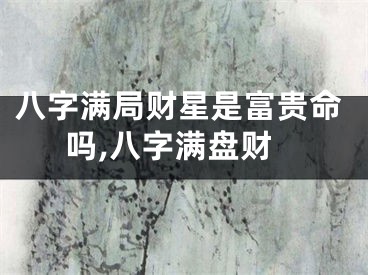 八字满局财星是富贵命吗,八字满盘财