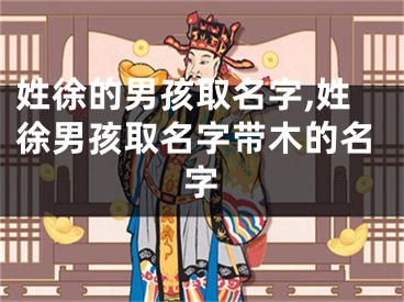姓徐的男孩取名字,姓徐男孩取名字带木的名字