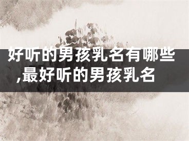 好听的男孩乳名有哪些,最好听的男孩乳名
