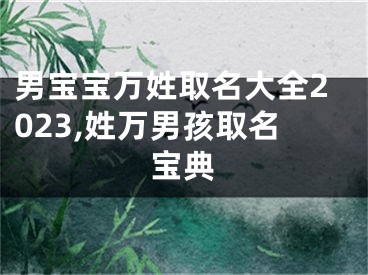 男宝宝万姓取名大全2023,姓万男孩取名宝典