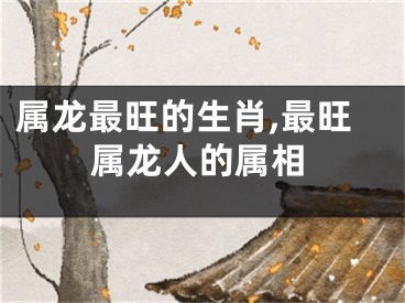 属龙最旺的生肖,最旺属龙人的属相