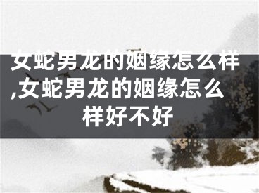 女蛇男龙的姻缘怎么样,女蛇男龙的姻缘怎么样好不好