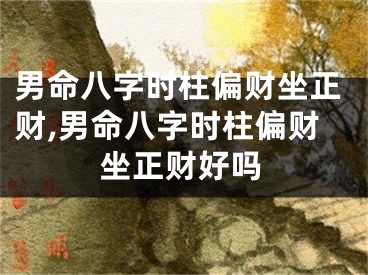 男命八字时柱偏财坐正财,男命八字时柱偏财坐正财好吗