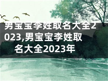 男宝宝李姓取名大全2023,男宝宝李姓取名大全2023年