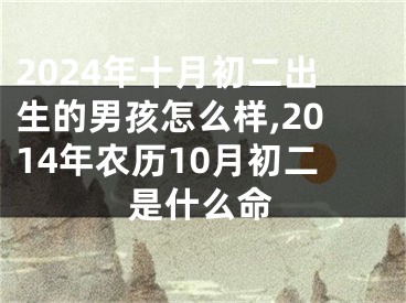 2024年十月初二出生的男孩怎么样,2014年农历10月初二是什么命
