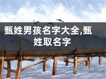 甄姓男孩名字大全,甄姓取名字