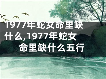 1977年蛇女命里缺什么,1977年蛇女命里缺什么五行