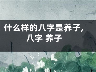 什么样的八字是养子,八字 养子