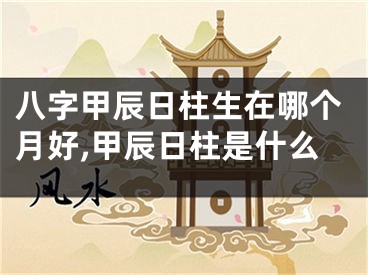 八字甲辰日柱生在哪个月好,甲辰日柱是什么