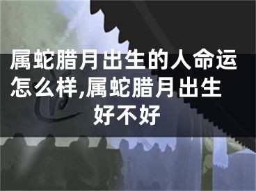 属蛇腊月出生的人命运怎么样,属蛇腊月出生好不好
