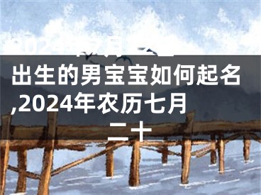 2024年7月22日出生的男宝宝如何起名,2024年农历七月二十