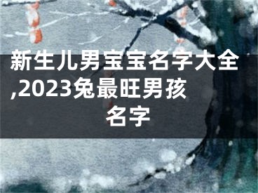 新生儿男宝宝名字大全,2023兔最旺男孩名字