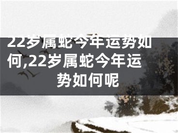 22岁属蛇今年运势如何,22岁属蛇今年运势如何呢