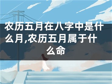 农历五月在八字中是什么月,农历五月属于什么命