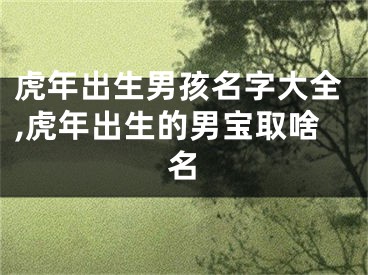虎年出生男孩名字大全,虎年出生的男宝取啥名
